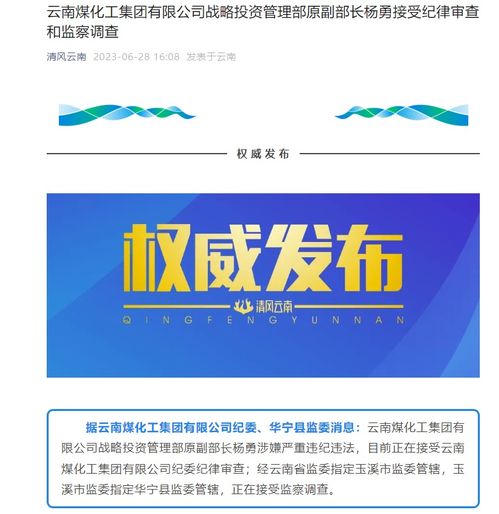 云南煤化工集團戰(zhàn)略投資管理部原副部長楊勇被查
