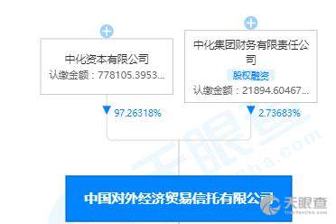 中化資本投資管理有限責任公司